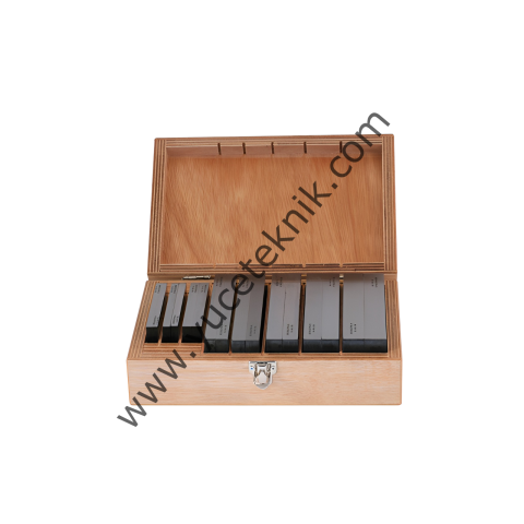 Paralel Set 2